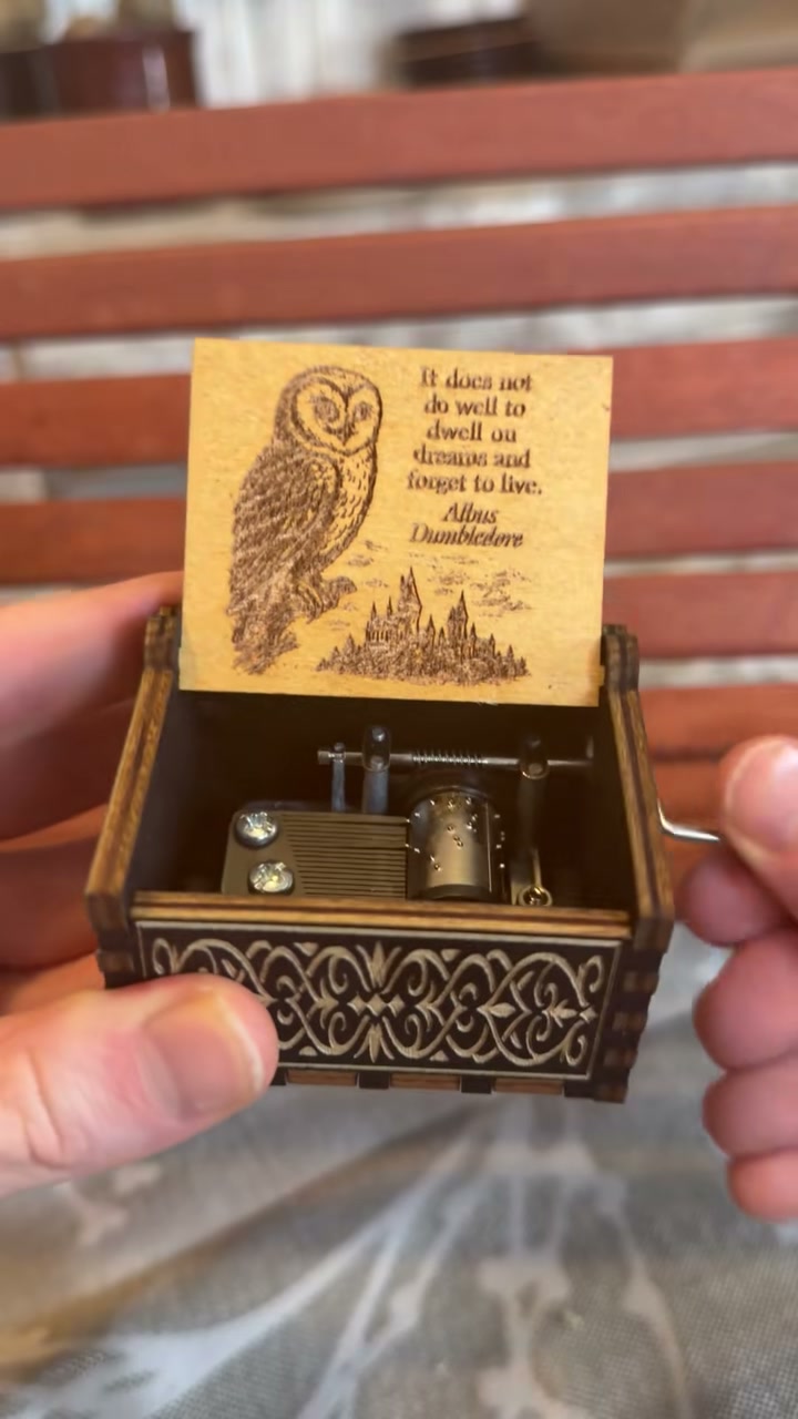 The Magic Music Box, open, with its owl print inside the lid
